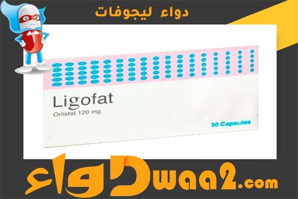 ليجوفات Ligofat كبسولات لعلاج السمنة والتخلص من الدهون الزائدة
